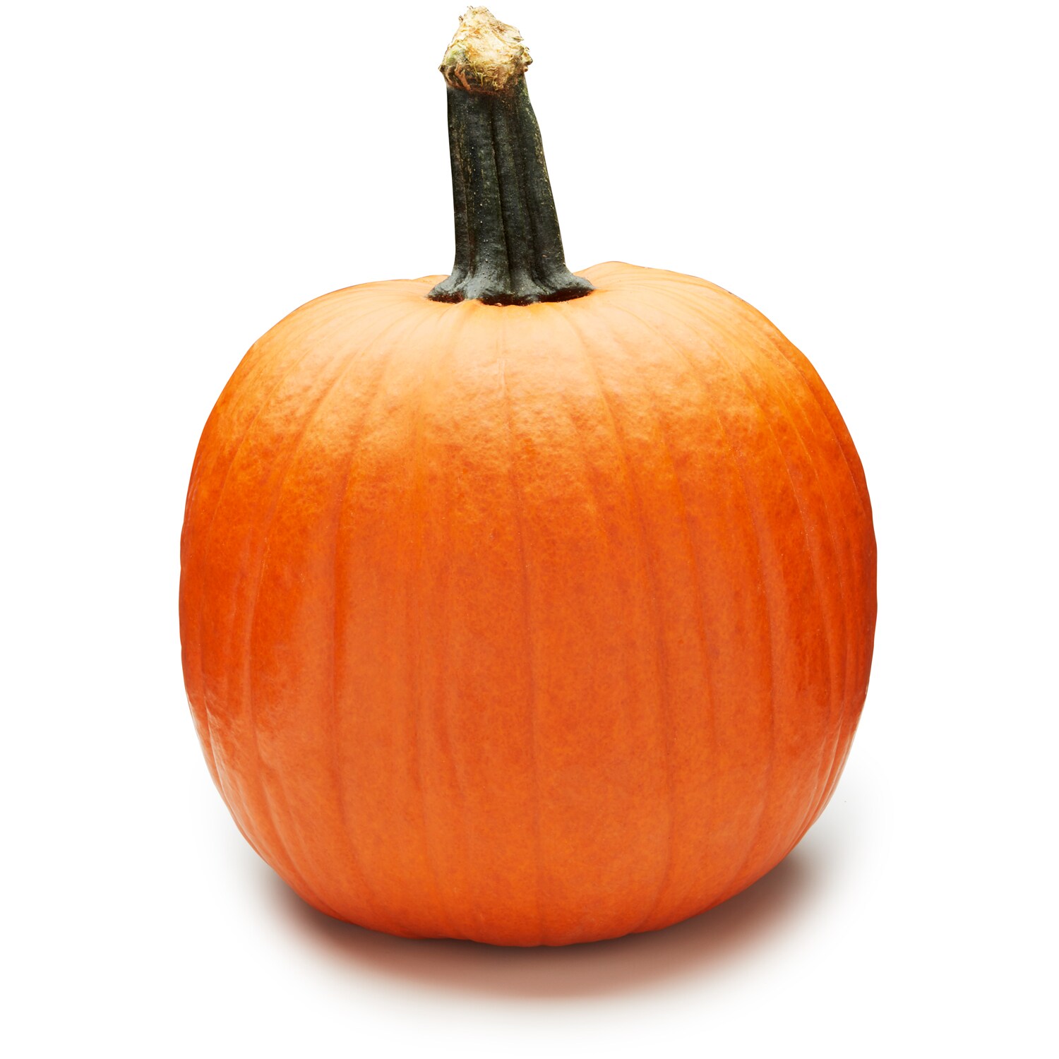 Jack-O'-Lantern Carving Pumpkin