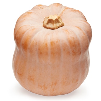 Lancaster Farm Fresh Cooperative Organic Robin's Koginut Squash