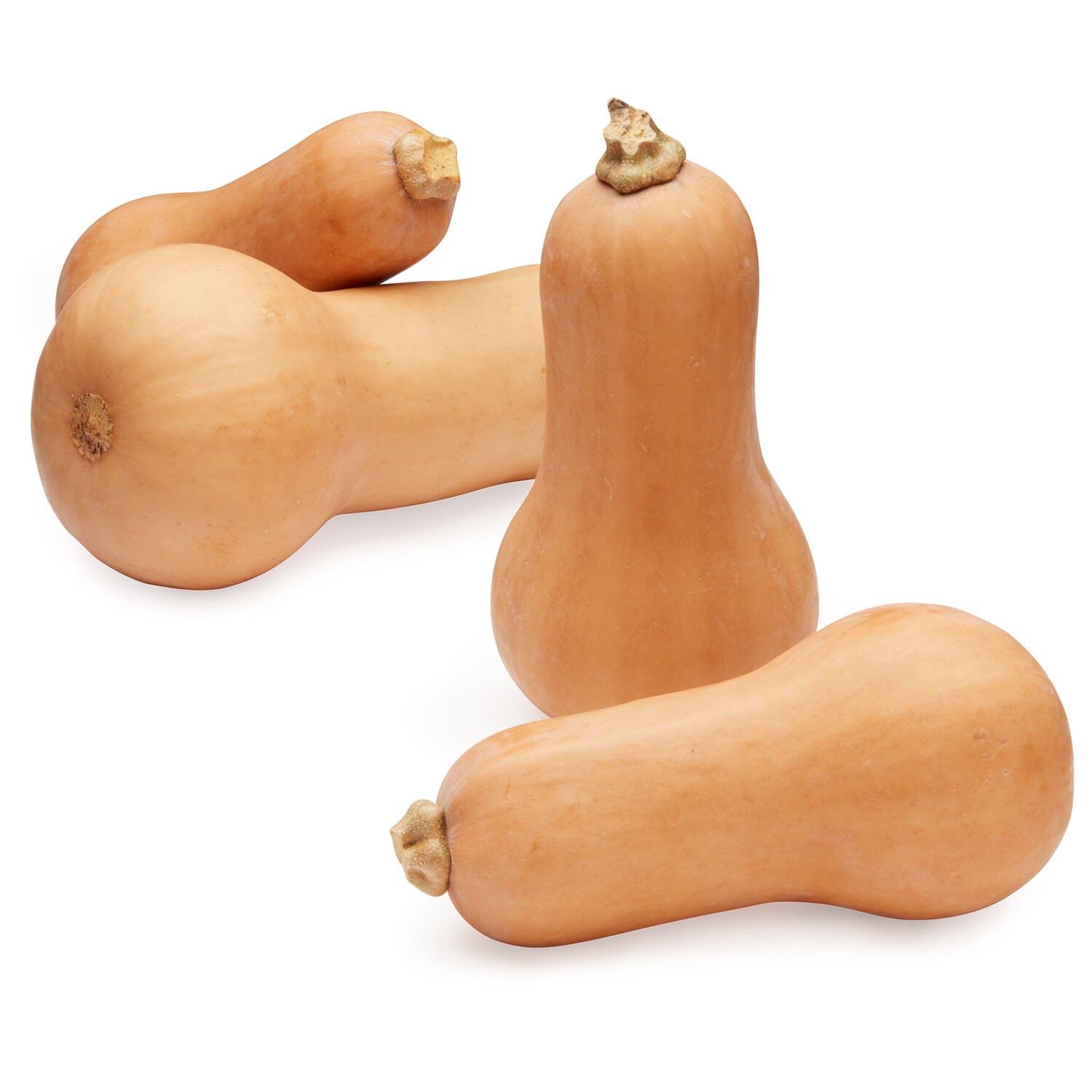 Lancaster Farm Fresh Cooperative Organic Honeypatch Squash