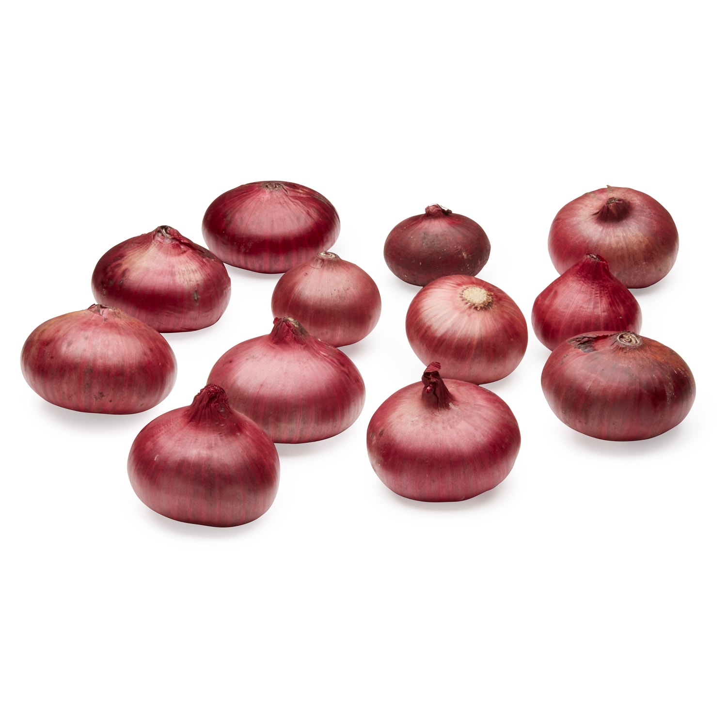 Black Dirt Region Red Cippolini Onions