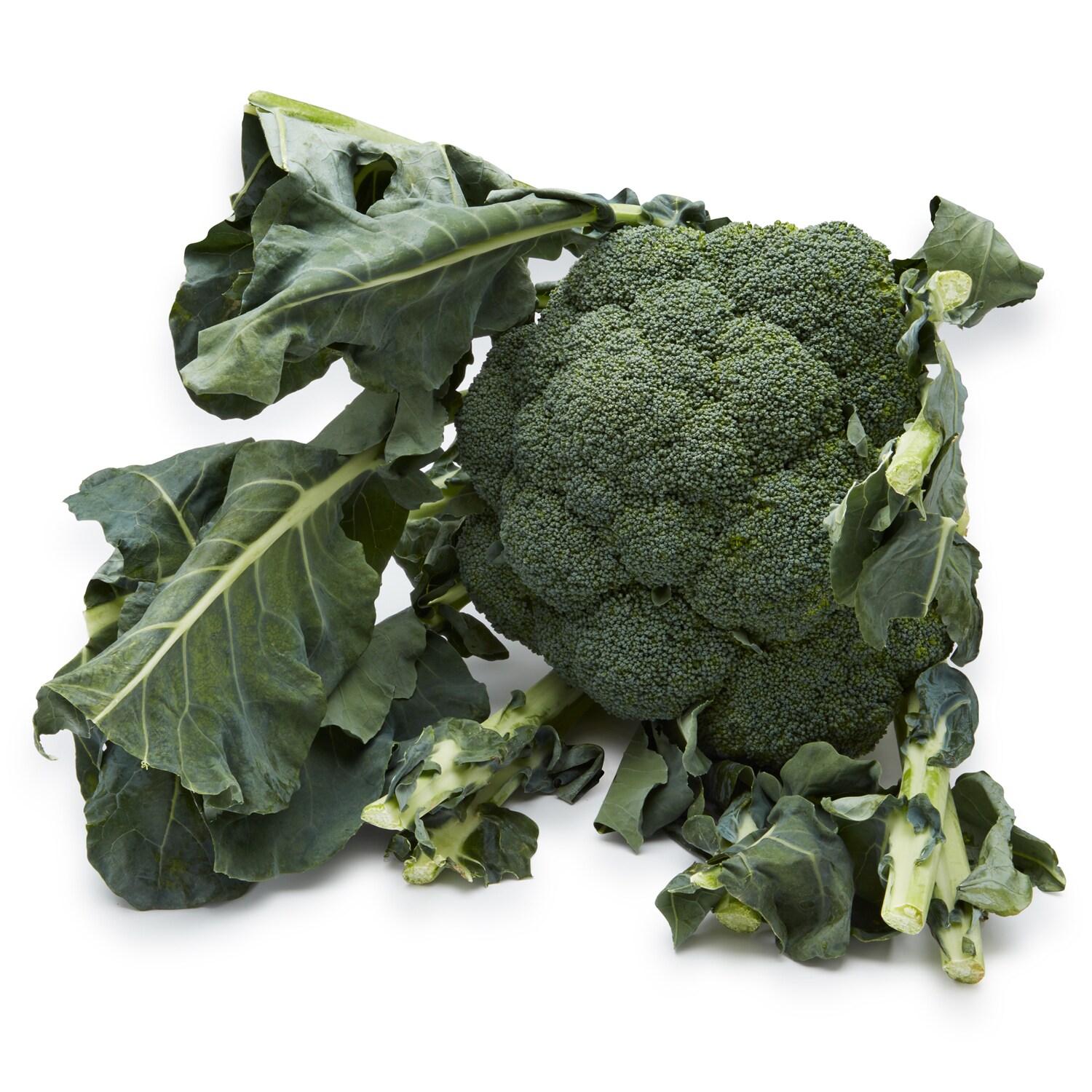 Local Jacket Broccoli