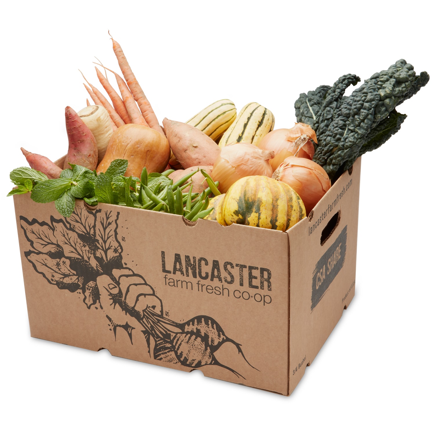Pretty on the Inside Lancaster Farm Fresh Cooperative Local Produce Farm Share