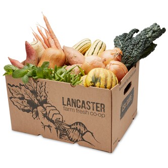 Pretty on the Inside Lancaster Farm Fresh Cooperative Local Produce Farm Share