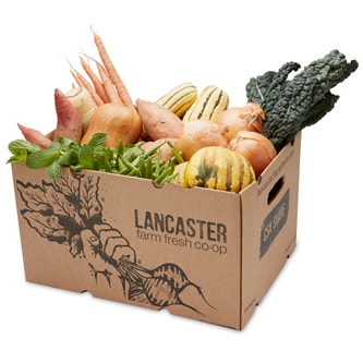 Pretty on the Inside Lancaster Farm Fresh Cooperative Local Produce Farm Share