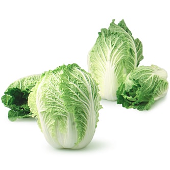 Napa Cabbage
