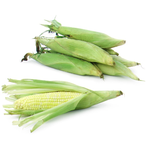 Bicolor Corn