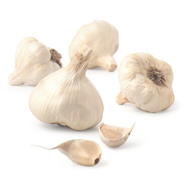 Organic Garlic