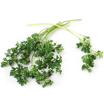 Curly Parsley