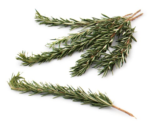Rosemary