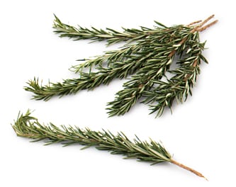 Rosemary