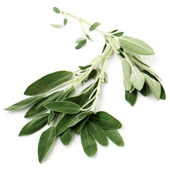 Sage