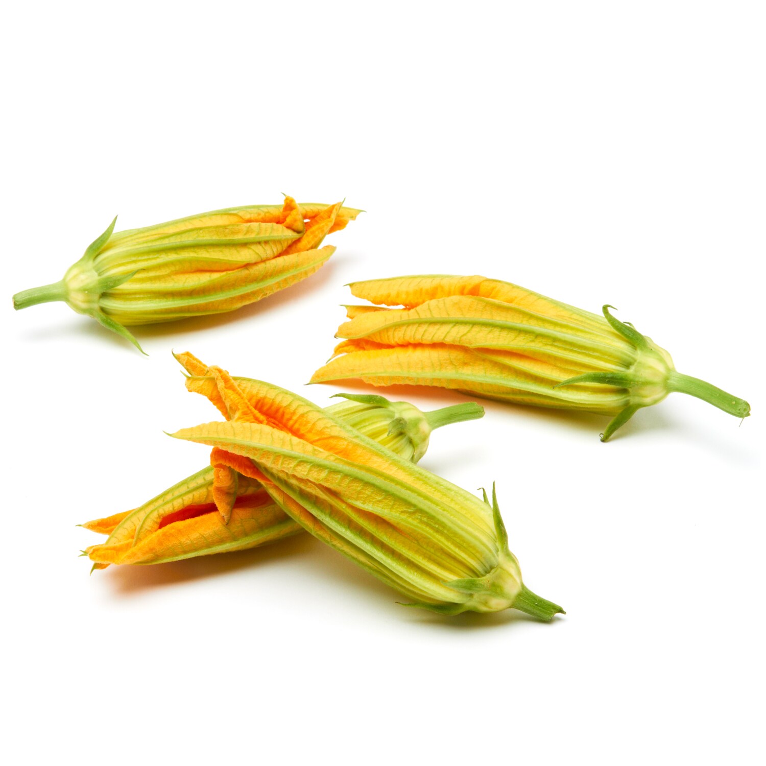 Wells Homestead Acres Local Squash Blossoms