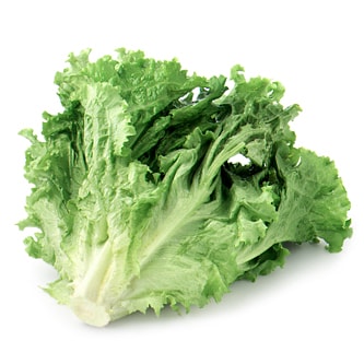 Organic Green Leaf Lettuce