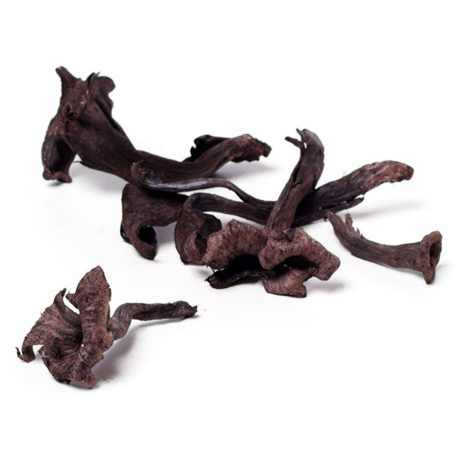 Black Trumpet Mushrooms