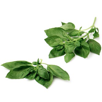 Organic Basil