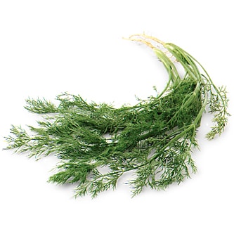 Organic Dill