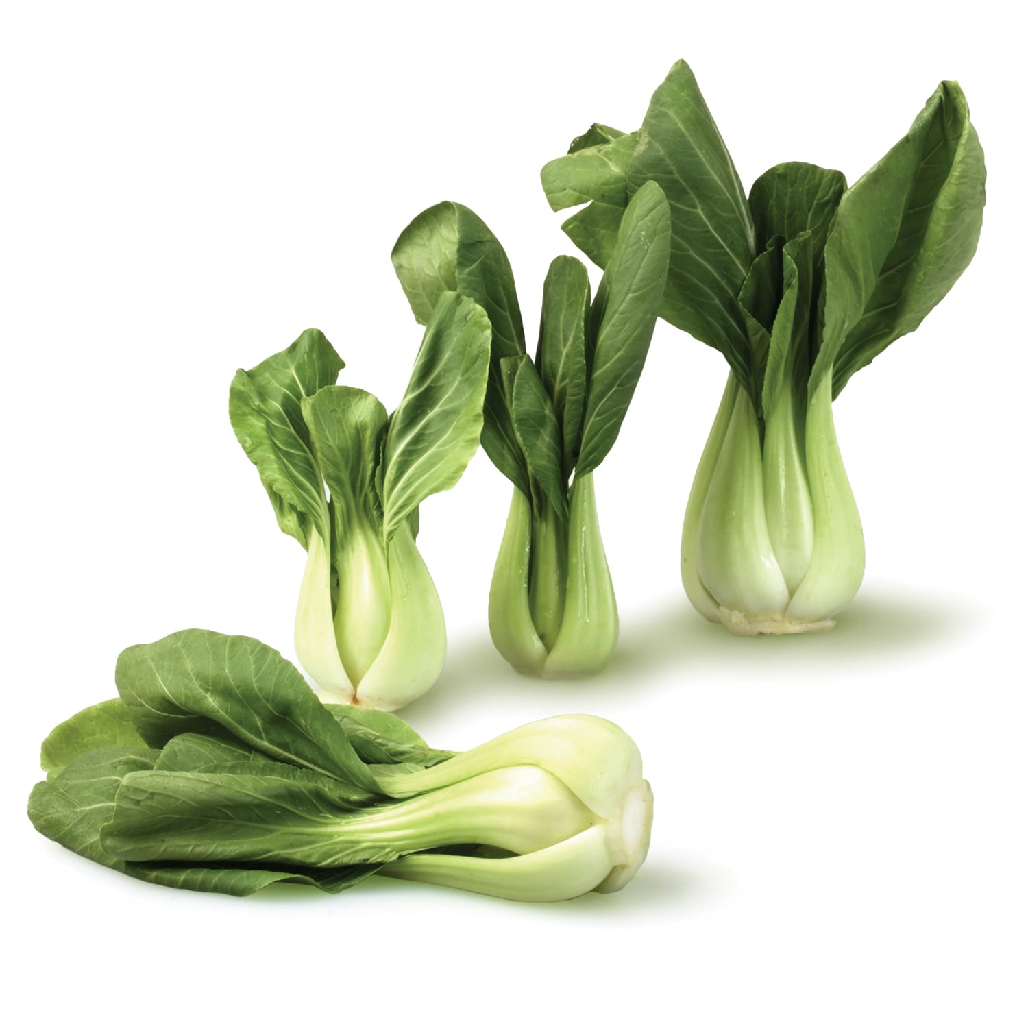 Organic Baby Bok Choy