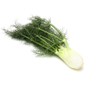 Organic Fennel
