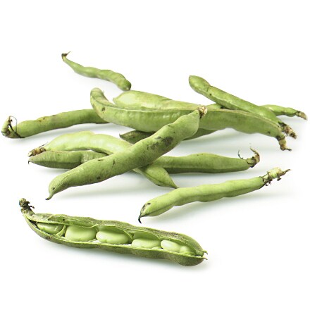 Organic Fava Beans