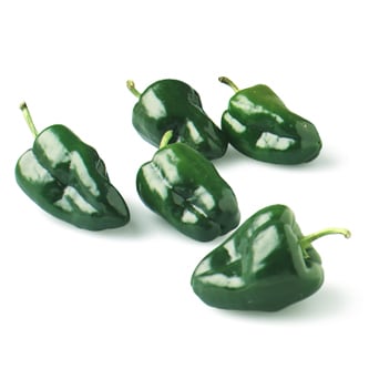 Poblano Pepper