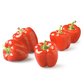 Organic Red Greenhouse Bell Pepper
