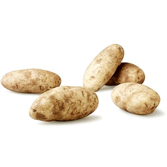 Russet Potato