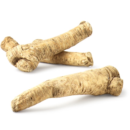 Horseradish