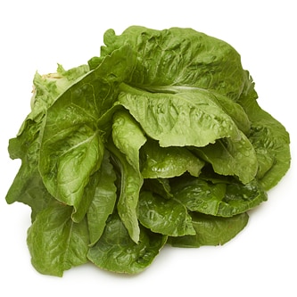 Deer Run Farms Romaine Lettuce