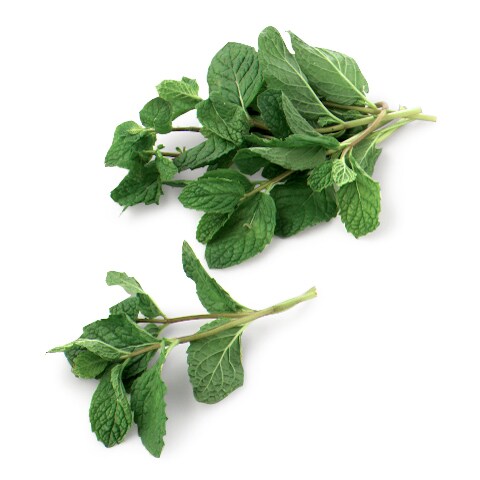Jersey Fresh Mint
