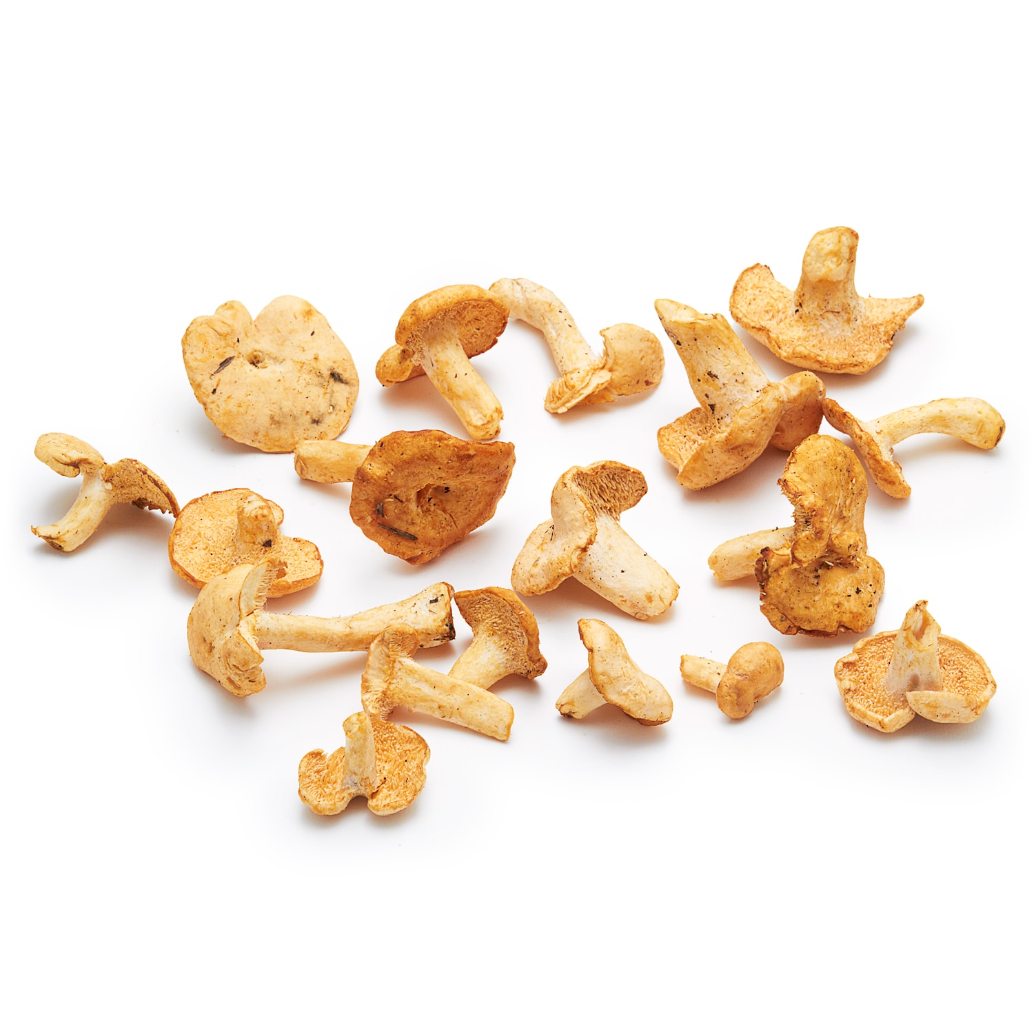 Hedgehog Mushrooms 