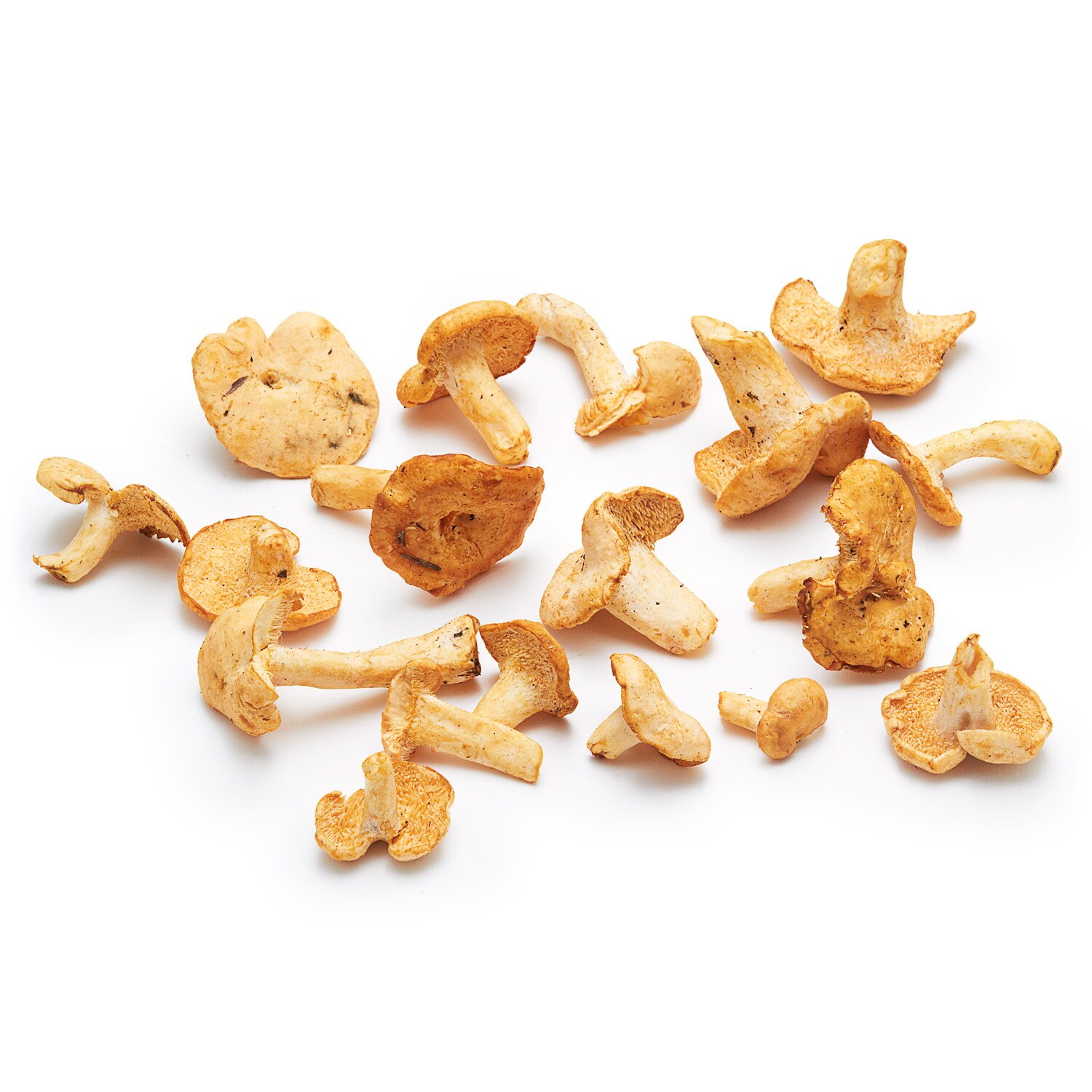 Hedgehog Mushrooms 