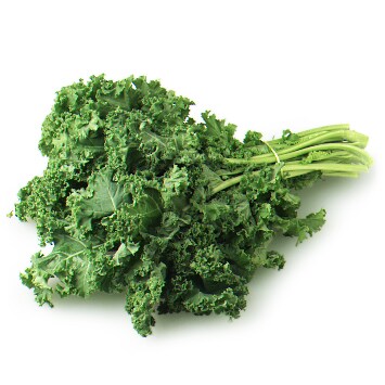 Jersey Fresh Green Kale