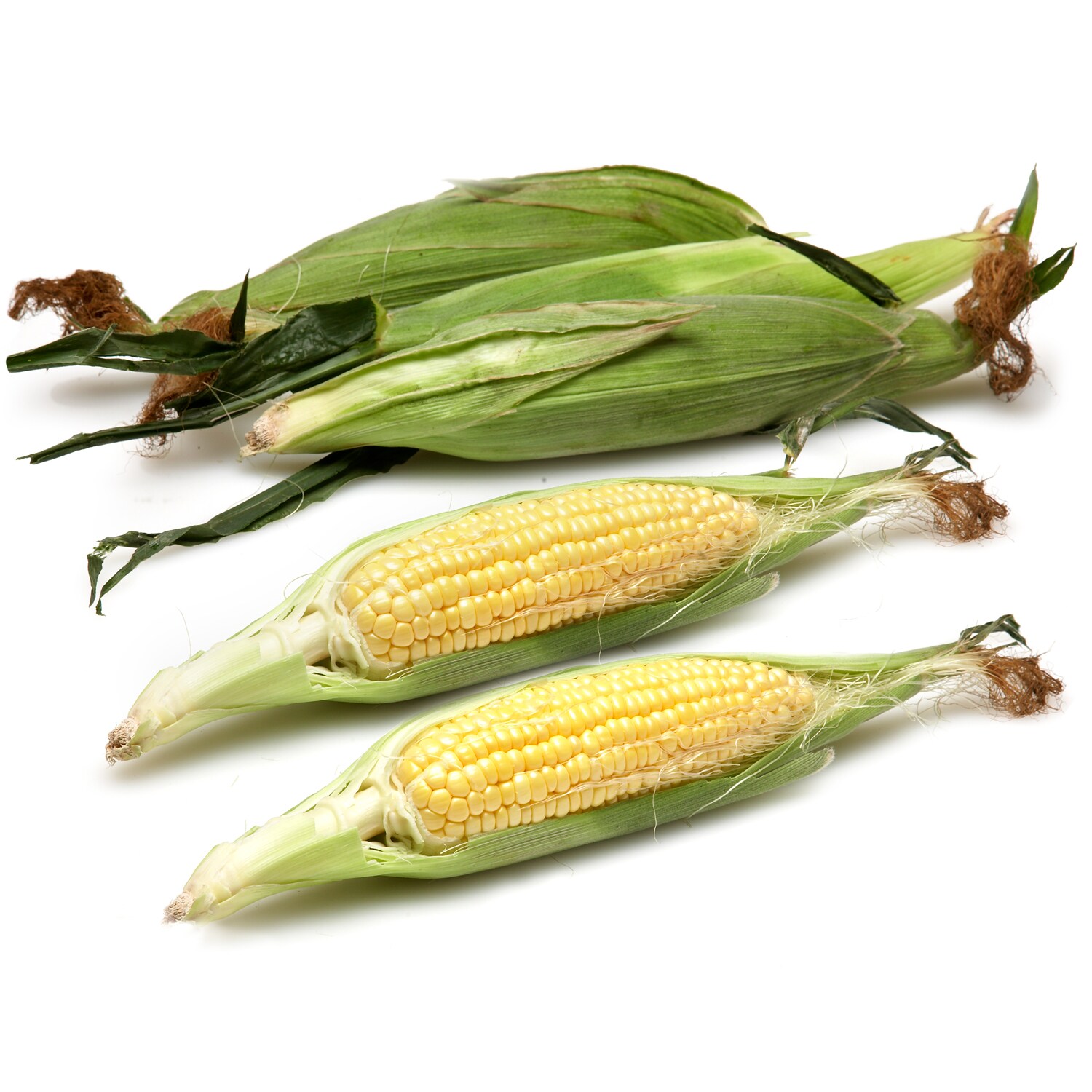 Rottkamp's Fox Hollow Farm Local Yellow Corn