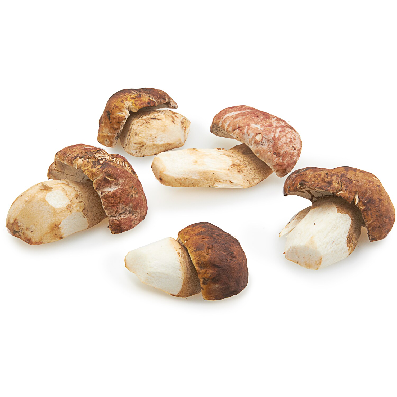 Fresh Wild Porcini Mushrooms