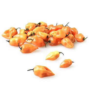Habanero Peppers