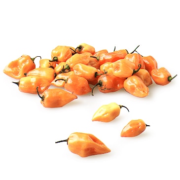 Habanero Peppers