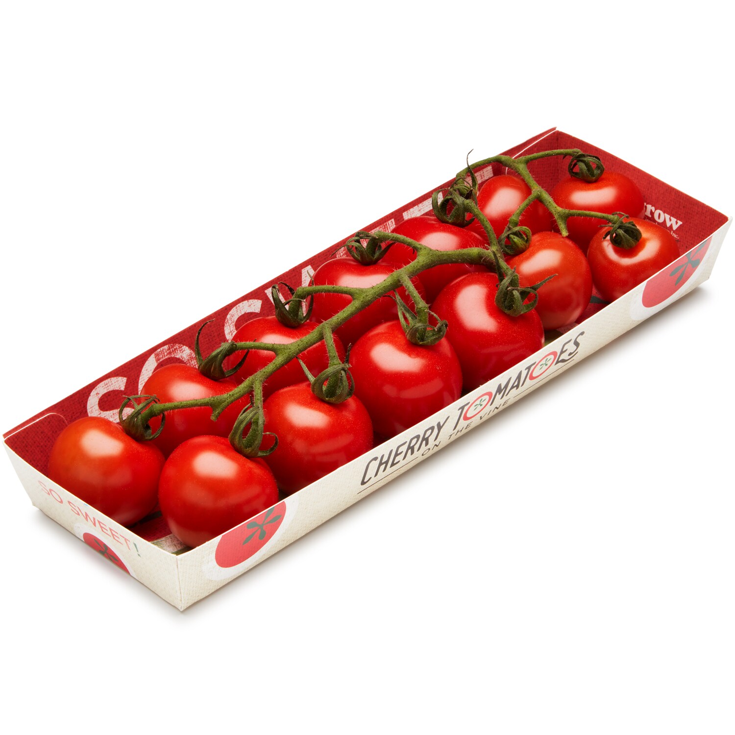 Cherry Tomatoes on the Vine