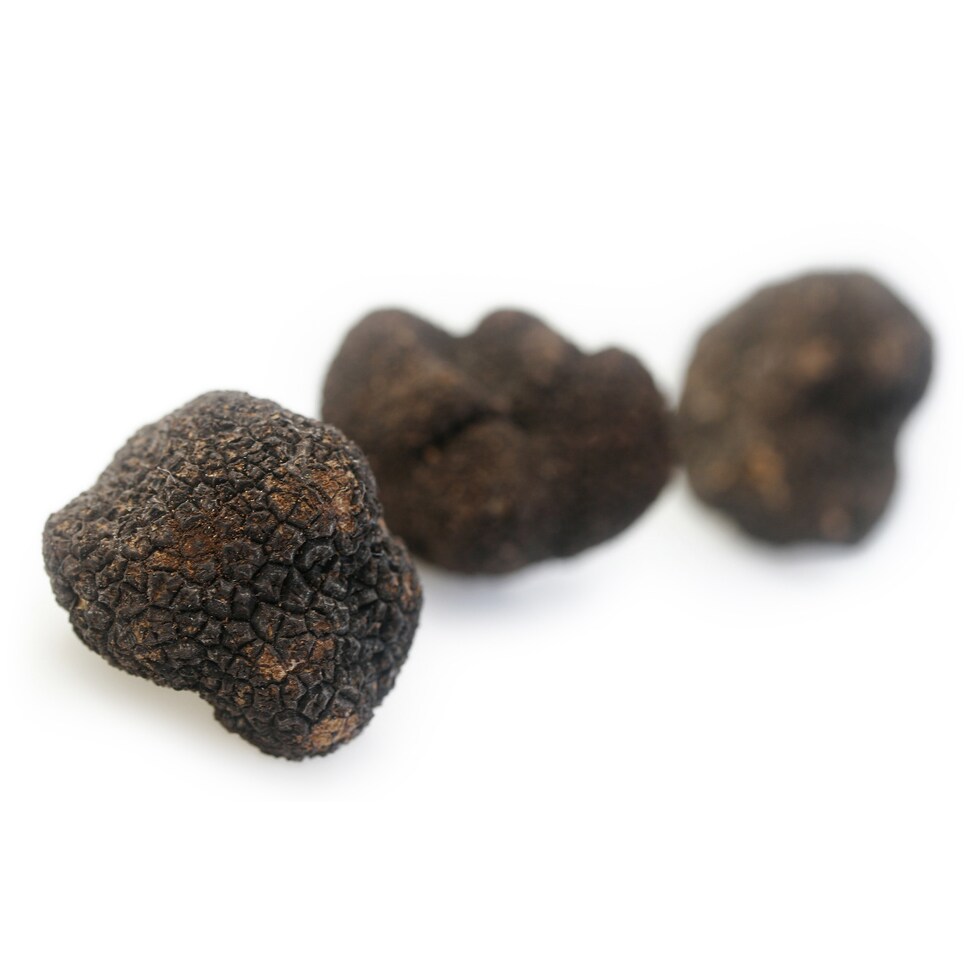 Black Summer Truffles