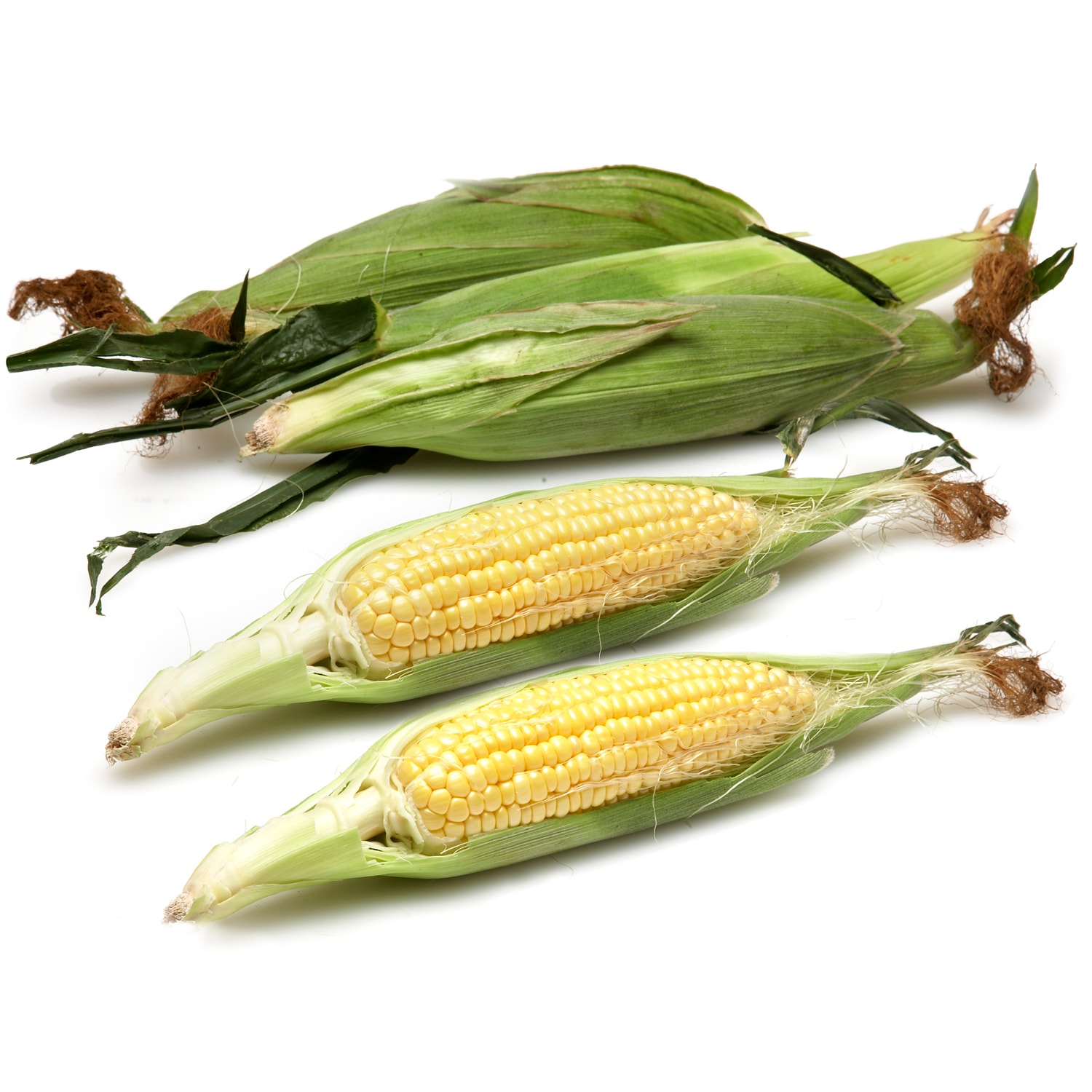 Lancaster Farm Fresh Cooperative Local Organic Bi-Color Corn