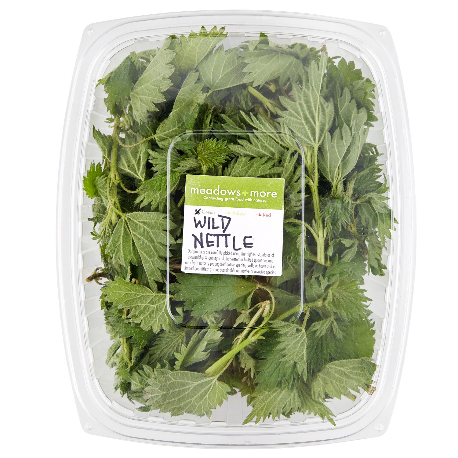 Meadows and More Wild Stinging Nettle Tips