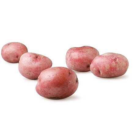 Lancaster Farm Fresh Cooperative Organic Red Potatoes