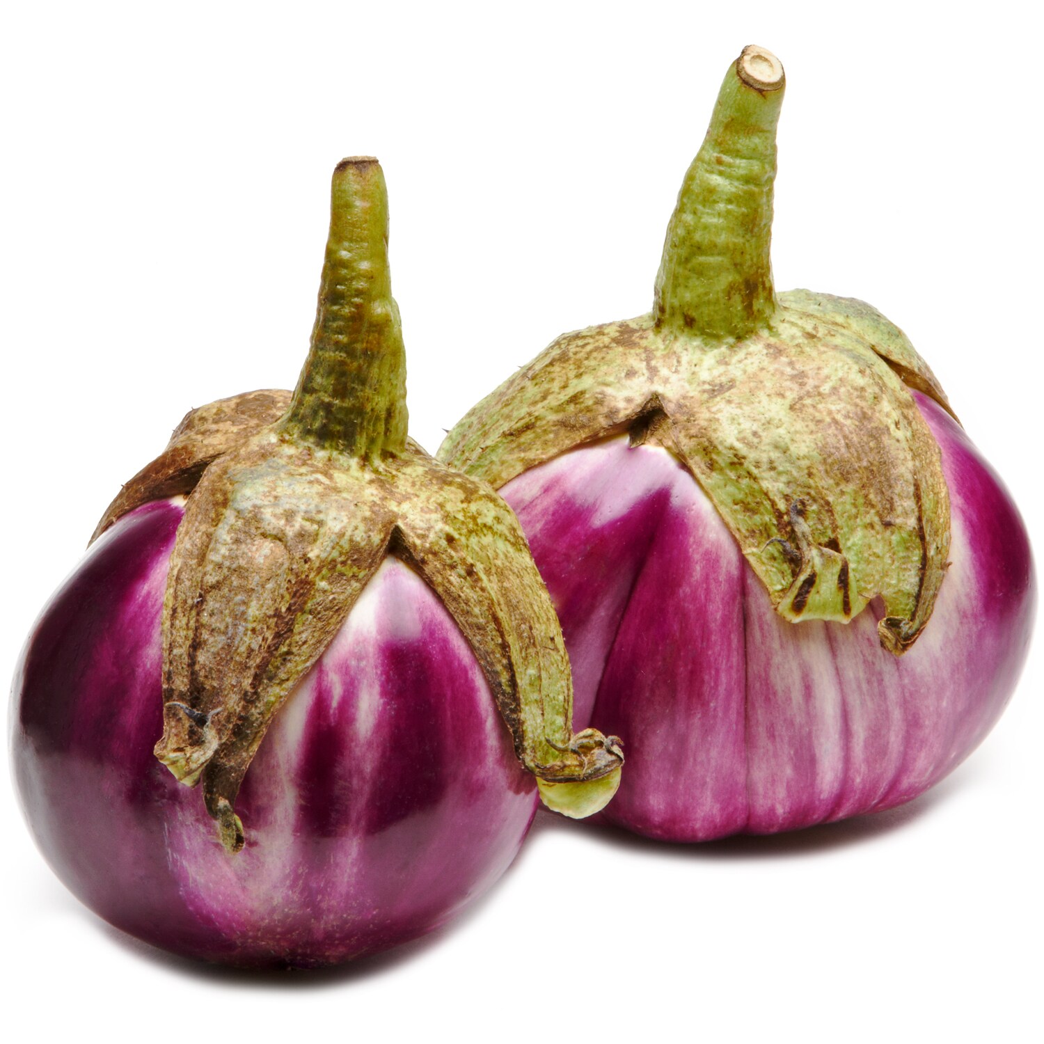 Italian Heirloom Eggplant