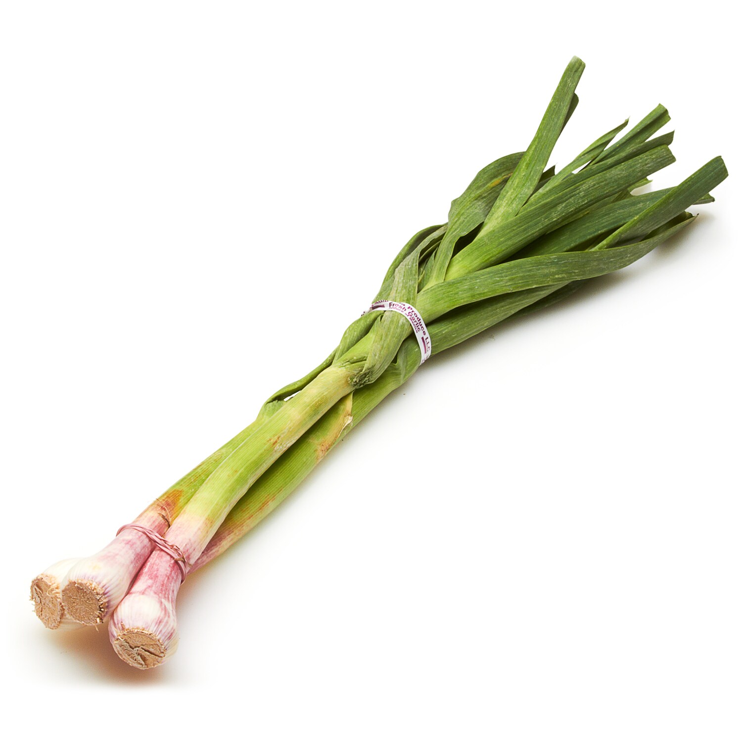 Lancaster Farm Fresh Cooperative Local Organic Young Garlic Bulbs 
