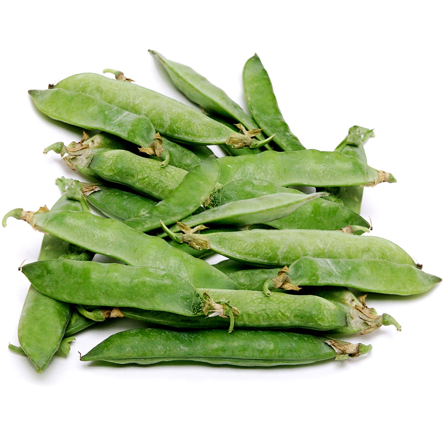 Lancaster Farm Fresh Cooperative Local Organic English Peas 