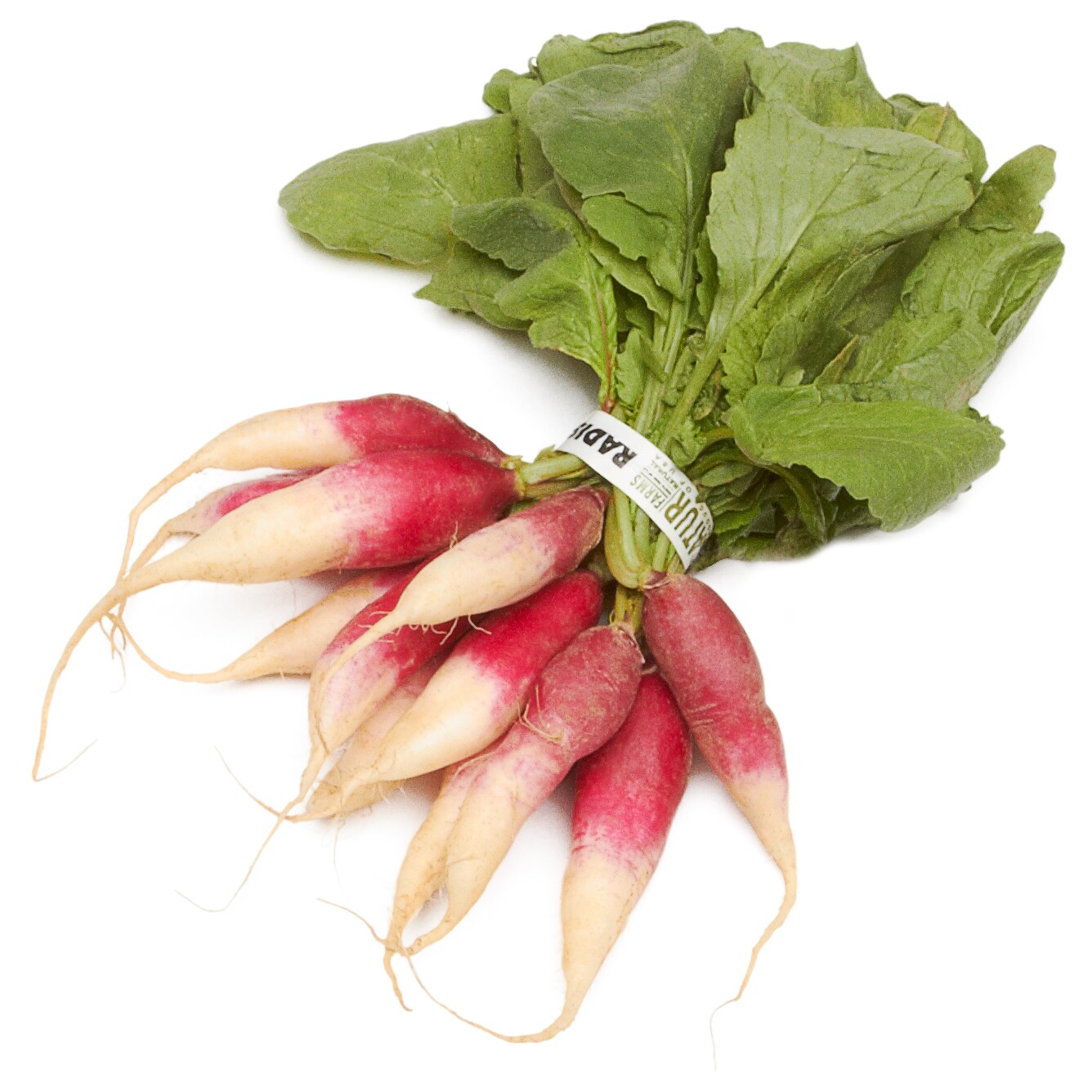 Hepworth Farms Local Organic Breakfast Radishes