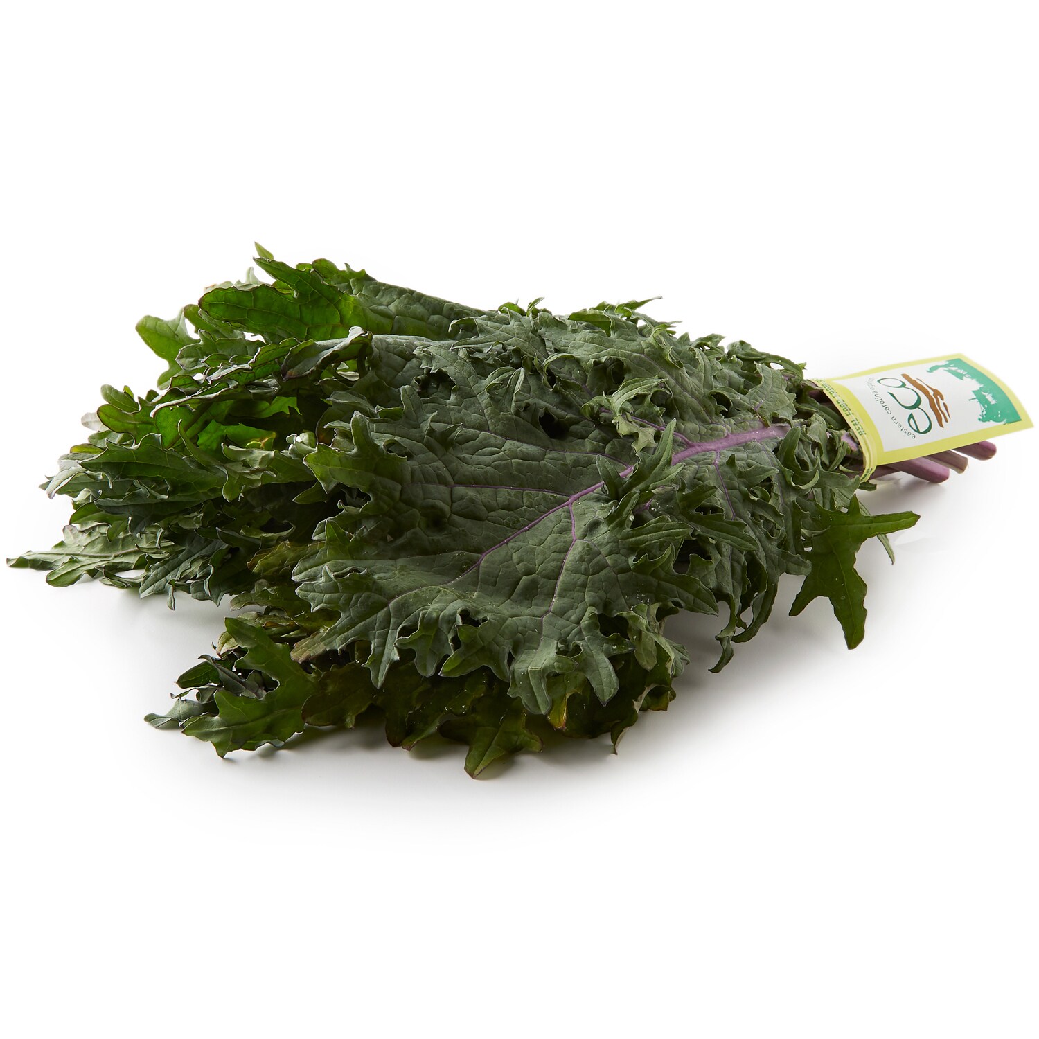 Hepworth Farms Local Organic Red Russian Kale