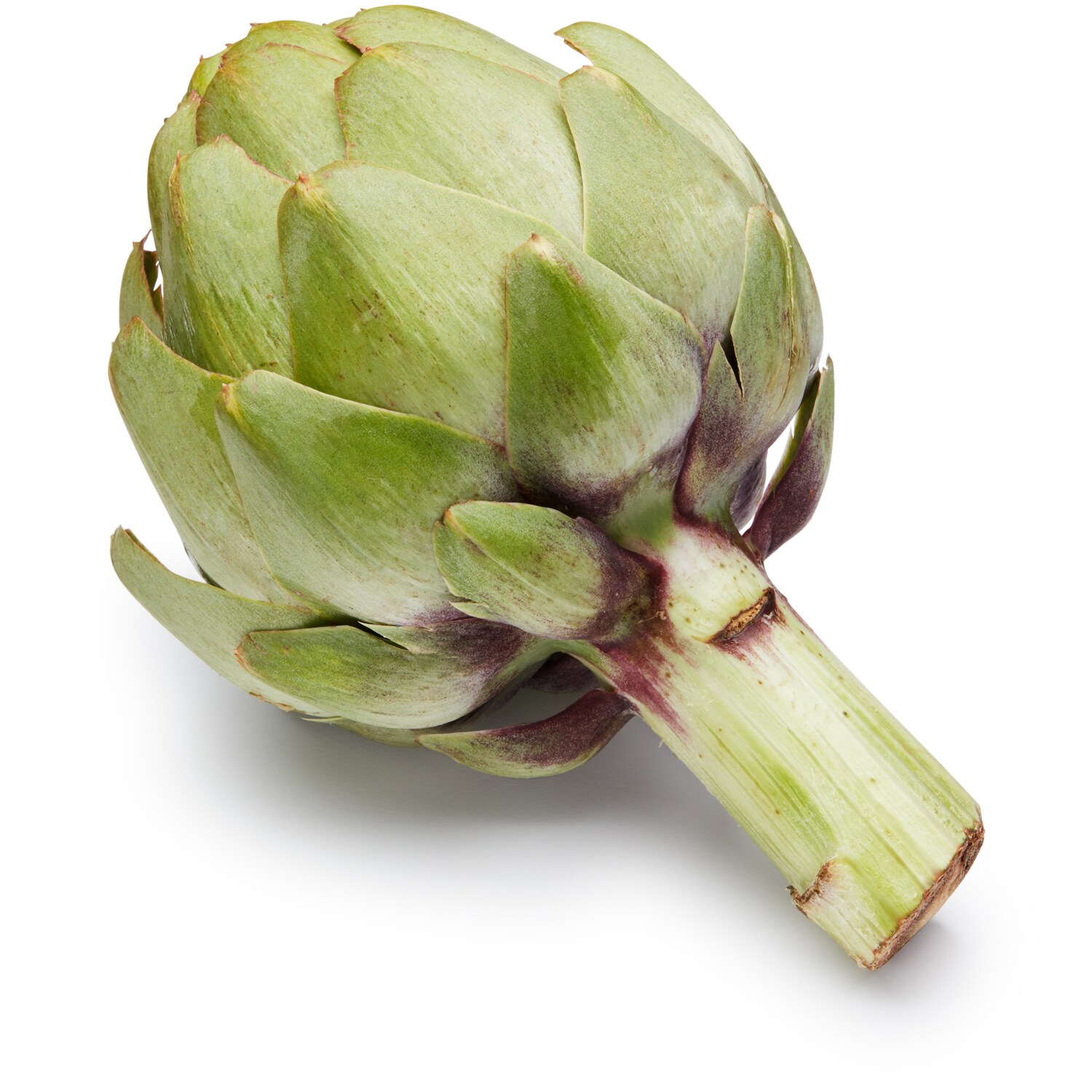 Farms Jumbo Artichoke
