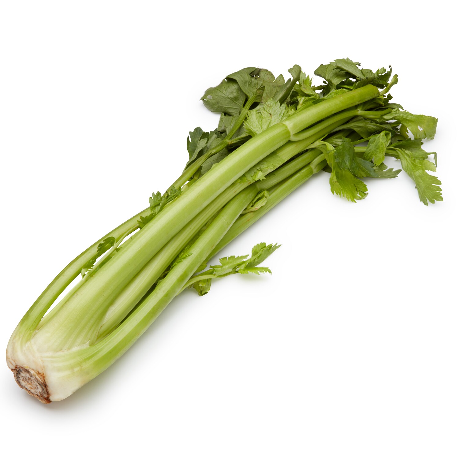 Deer Run Farms Celery