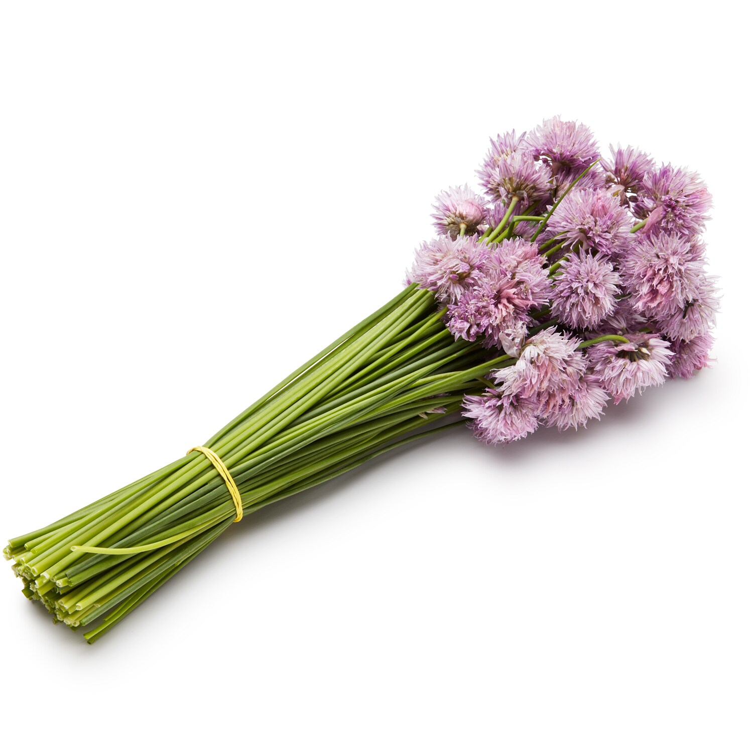 Hepworth Farms Local Organic Flowering Chives