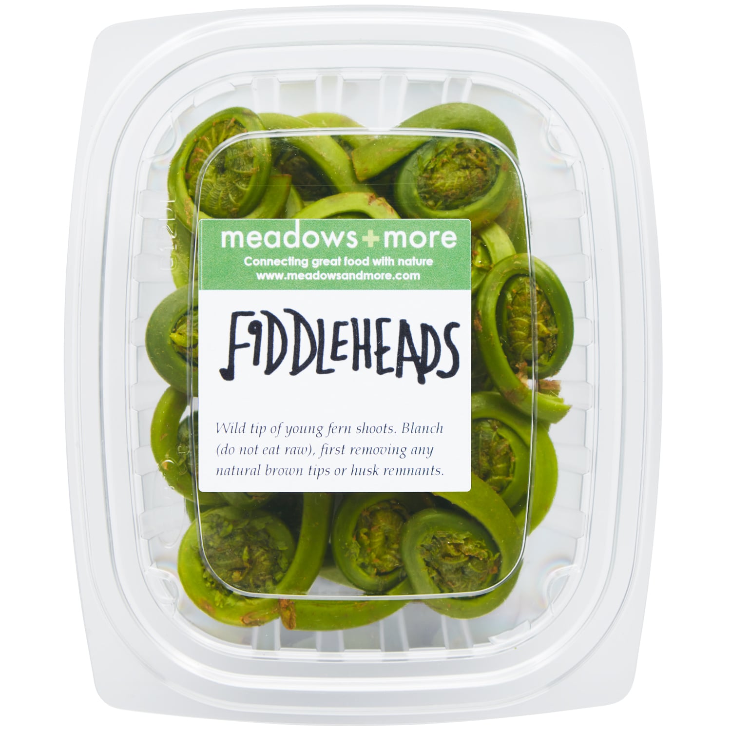 Meadows and More Local Wild Fiddlehead Ferns